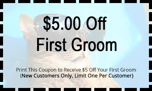 $5.00 Off First Groom